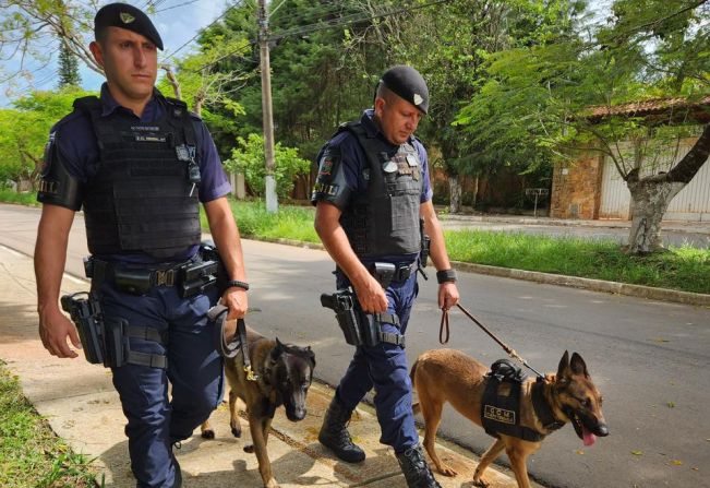 Cães da GCM contribuem para segurança pública em Itapetininga